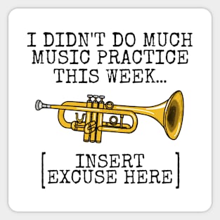 I Didn't Do Much Music Practice, Trumpet Student Funny Sticker